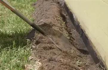 OIP — Texas Shield Pest Control